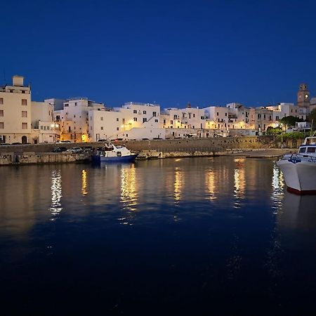 Fd Apartments - Zoe Prestigioso Appartamento Vicino Alla Stazione E Al Centro Monopoli Luaran gambar